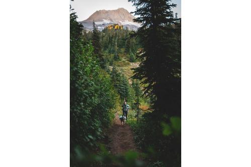 mochila alforja para perros Ruffwear Front Range™ color gris - ejemplo con perro 13