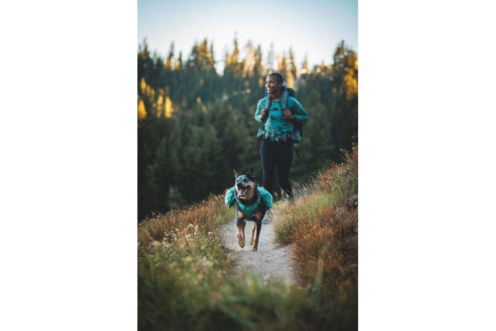 mochila alforja para perros Ruffwear Front Range™ color gris - ejemplo con perro 14