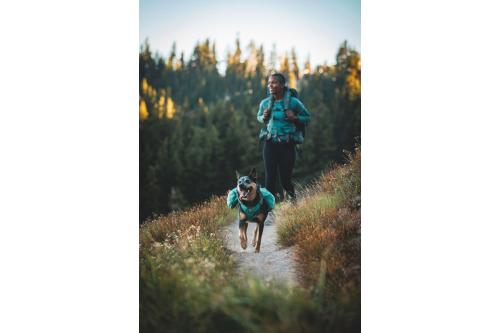 mochila alforja para perros Ruffwear Front Range™ color gris - ejemplo con perro 14
