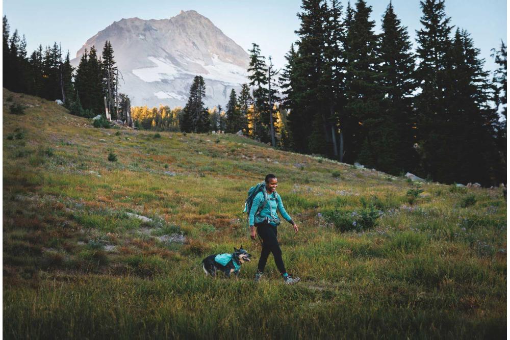mochila alforja para perros Ruffwear Front Range™ color gris - ejemplo con perro 11