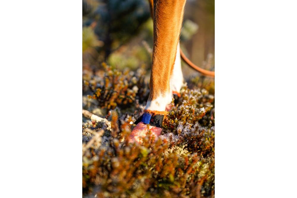 botas zapatos para perros Non-Stop Protector Light. 6 botas zapatos para perros Non-Stop Protector Light. 6