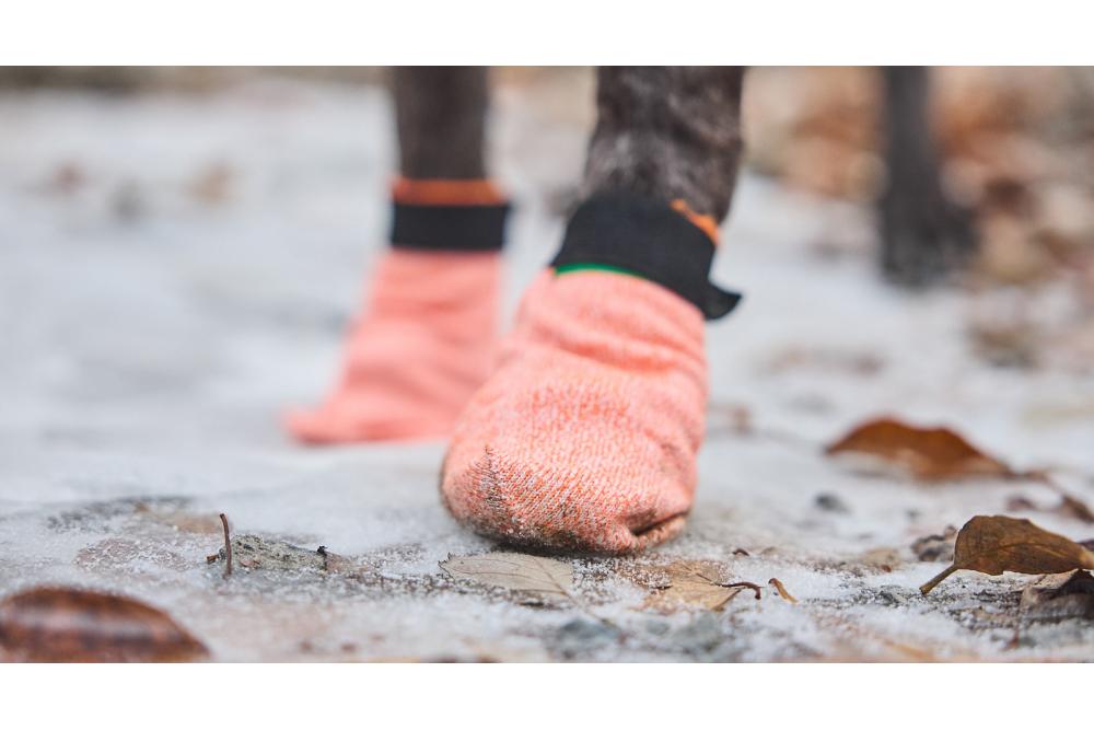 botas zapatos para perros Non-Stop Protector Light. 2 botas zapatos para perros Non-Stop Protector Light. 2