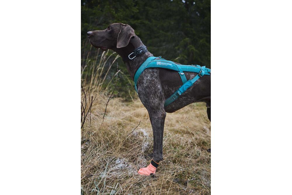 botas zapatos para perros Non-Stop Protector Light. 9 botas zapatos para perros Non-Stop Protector Light. 9