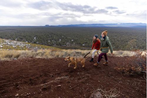 Correa con elástico para perros Roamer™ de Ruffwear. Ejemplo 6