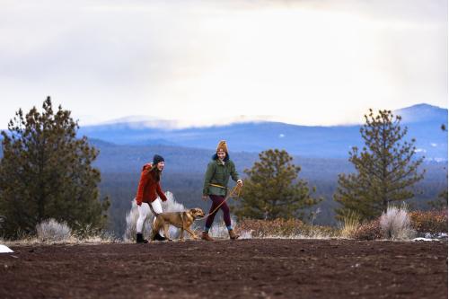 Correa con elástico para perros Roamer™ de Ruffwear. Ejemplo 5