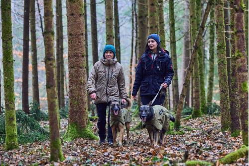 Abrigo para perros Non-Stop Glacier WD. Perros de trabajo. Ejemplo con perro 1