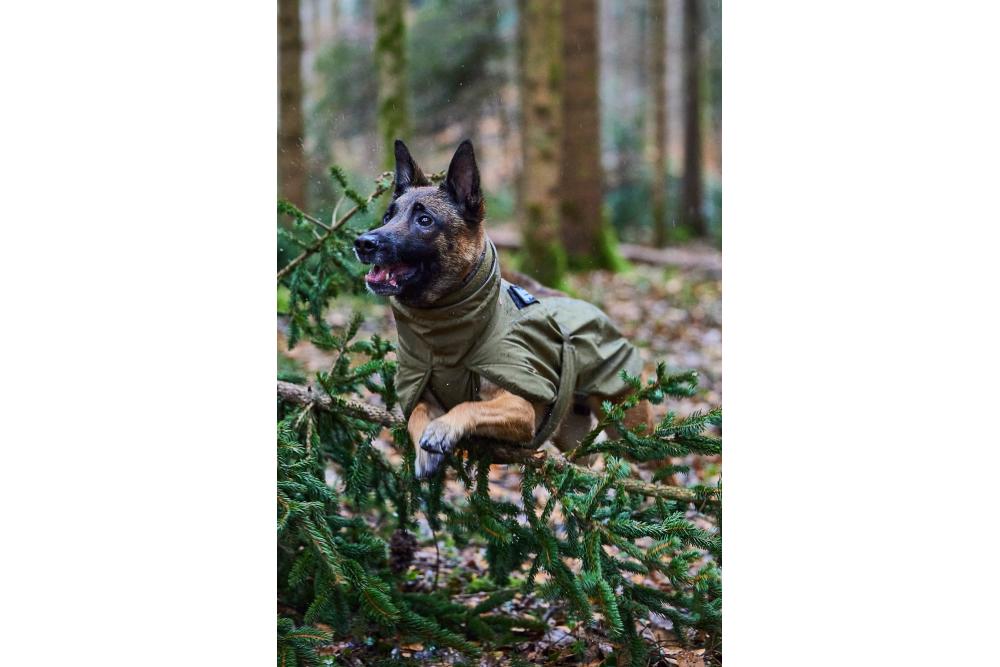 Abrigo para perros Non-Stop Glacier WD. Perros de trabajo. Ejemplo con perro 4