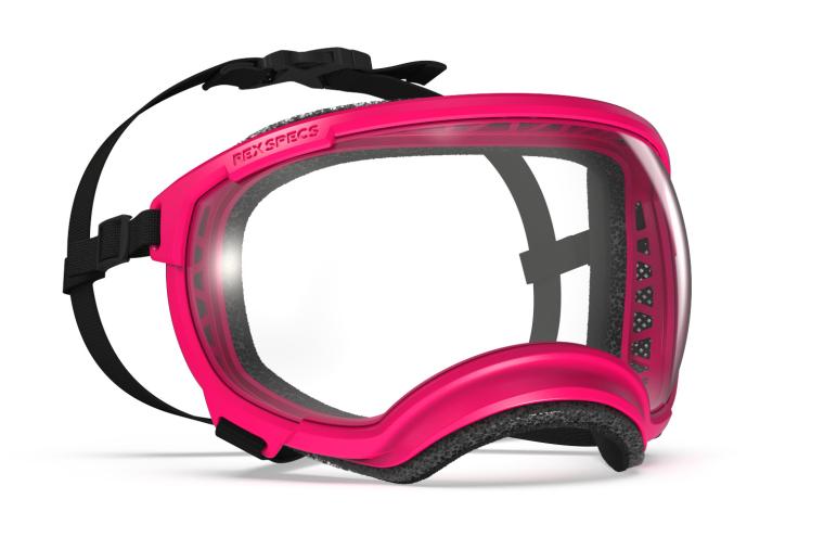 Gafas para perros REX SPECS V2 Yazberry para partículas, sol, problemas oculares. Indicadas para cualquier actividad. toma 2 2