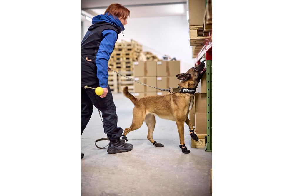 Collar para perros semideslizante Non-Stop SOLID W.D. especial para perros de trabajo y servicio - 7