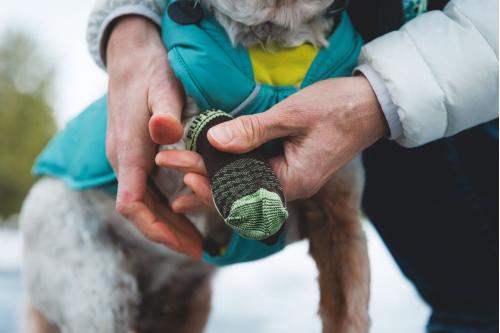 calcetines para perros Bark'n Boot Liners™ Ruffwear ideales para usar con botas zapatos. mejor ajuste y protección. Con perro 1