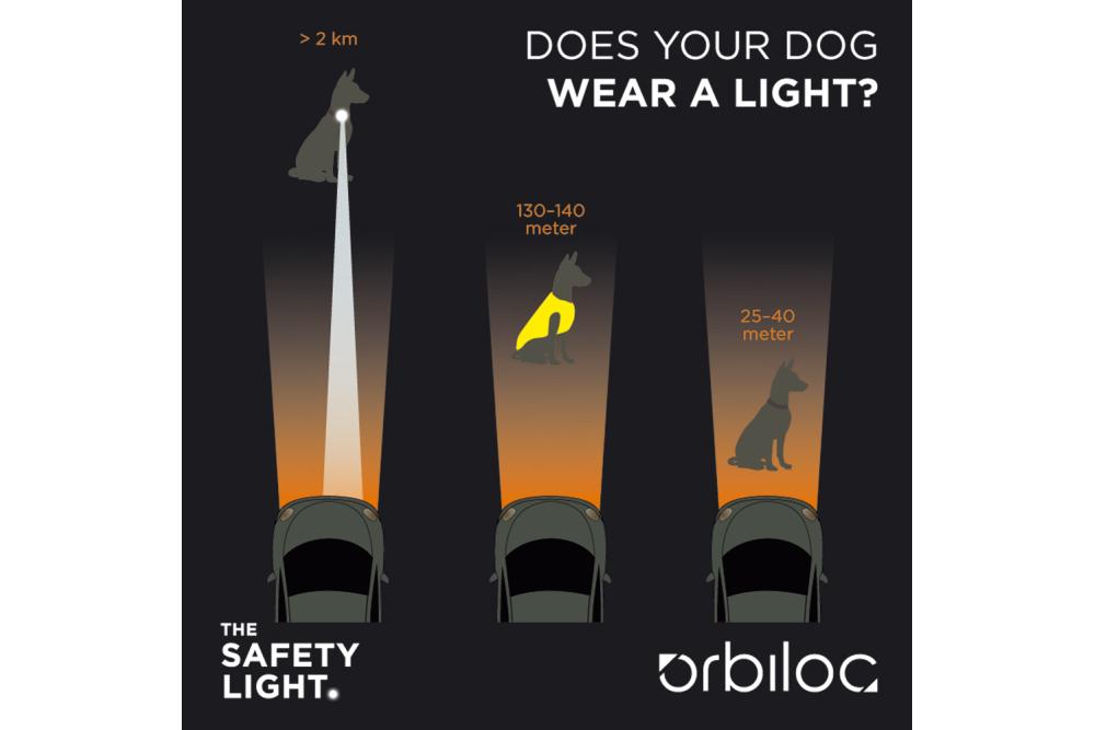 Orbiloc DOG DUAL - Luz LED seguridad y alta visibilidad para perros - Info 04