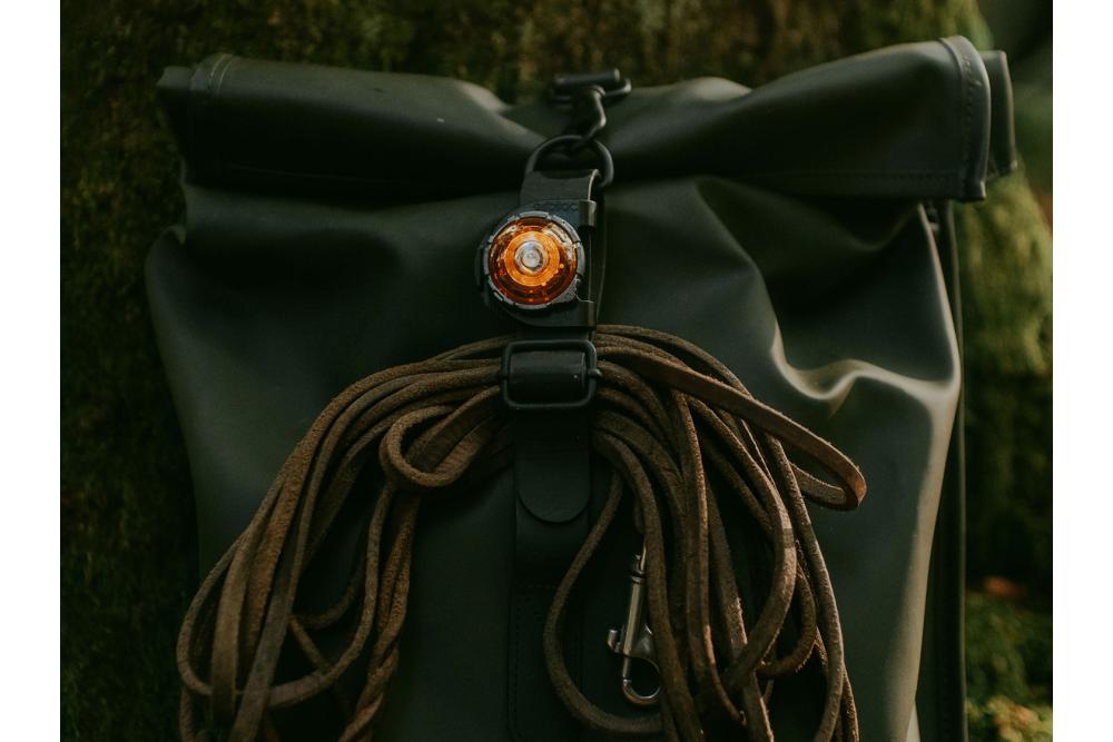 Orbiloc Clip - Luz LED seguridad y alta visibilidad para perros - ejemplo con perro 02