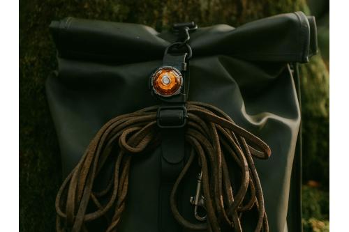 Orbiloc Clip - Luz LED seguridad y alta visibilidad para perros - ejemplo con perro 02