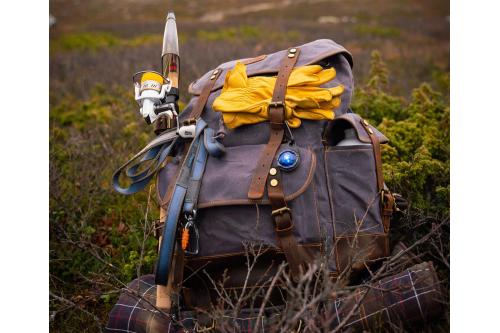 Orbiloc Carabiner - Mosquetón - Luz LED seguridad y alta visibilidad para perros - ejemplo con perro 03