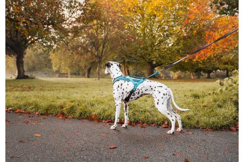 Arnés para perros Rush de Non-Stop para canicross, bikejoring, bicicleta. cintas regulables. ejemplo 6