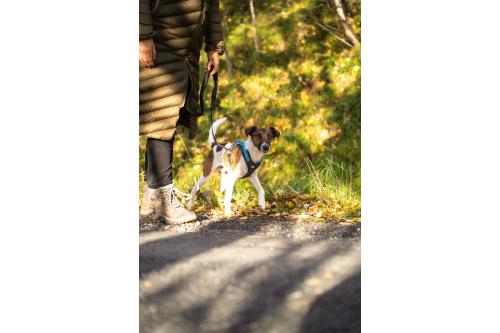 Arnés para perros Rush de Non-Stop para canicross, bikejoring, bicicleta. cintas regulables. ejemplo 5