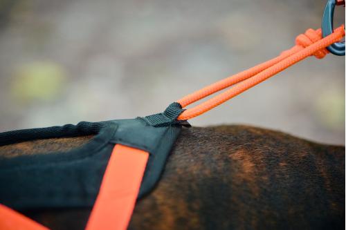 Arnés para perros Rush de Non-Stop para canicross, bikejoring, bicicleta. cintas regulables. ejemplo 1