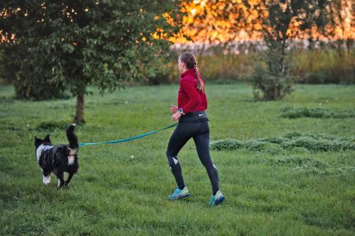 Cinturón canicross trekking senderismo Rush Non-Stop. Ligero, duradero, cómodo y con bolsillos. ejemplo 1