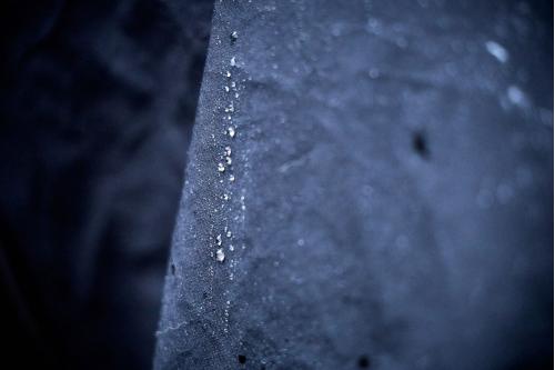 Chubasquero para perros Non-Stop Trekking, protección total a lluvia, viento, nieve… toma 5
