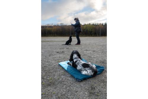 Cama Non-Stop Trekking para perros. Acapada, camping, trekking... con perro 2