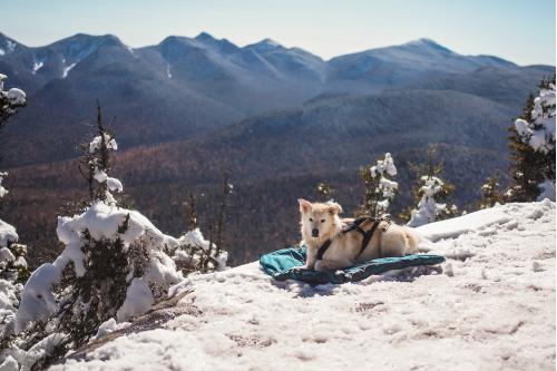Cama Non-Stop Trekking para perros. Acapada, camping, trekking... con perro 3