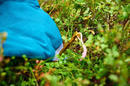 Cama Non-Stop Trekking para perros. Acapada, camping, trekking... detalle 3