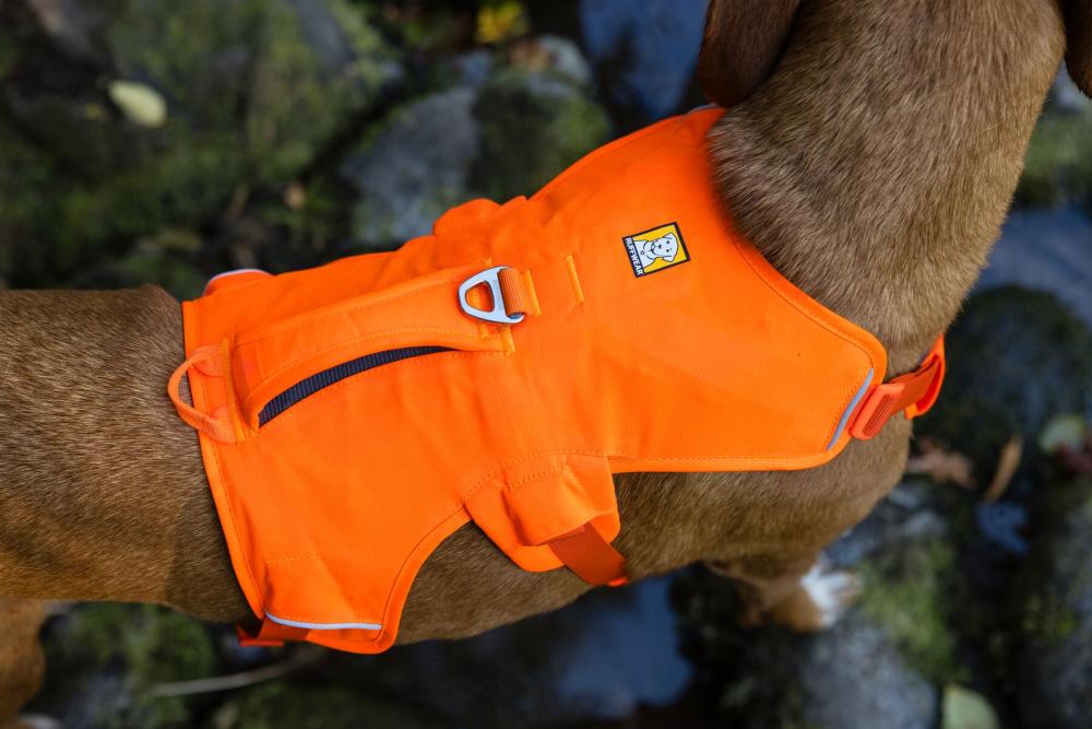 Arnés Ruffwear WEB MASTER™ - 2025
