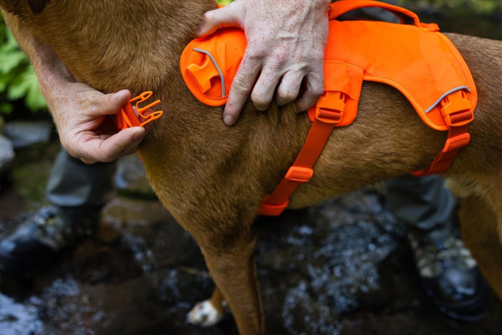 Arnés Ruffwear WEB MASTER™ - 2025