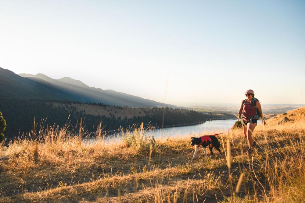 Arnés Ruffwear WEB MASTER™ - 2025