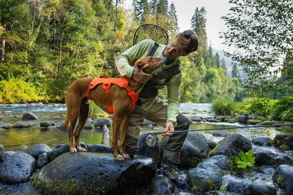 Arnés Ruffwear WEB MASTER™ - 2025