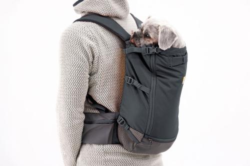 mochila para llevar transportar perros Ruffwear Hitch Hiker™. Gris 2