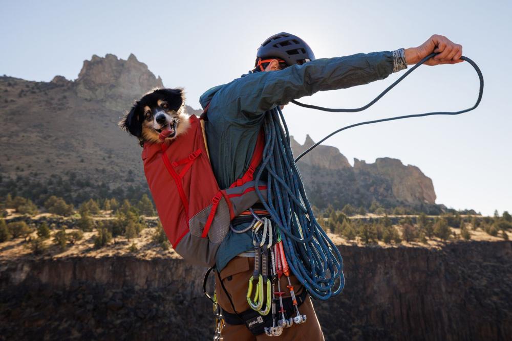 mochila para llevar transportar perros Ruffwear Hitch Hiker™. Ejemplo 4