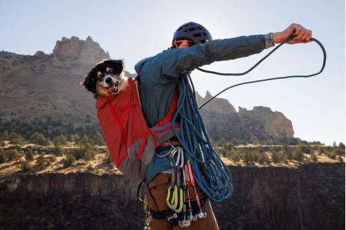 mochila para llevar transportar perros Ruffwear Hitch Hiker™. Ejemplo 4