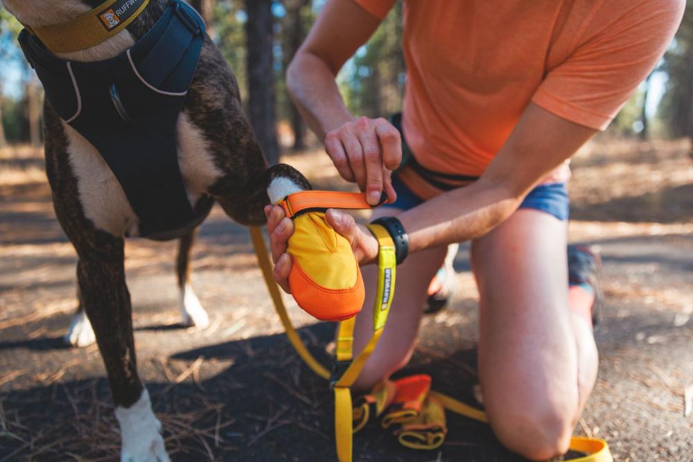 Botas zapatos para perros Summit Trex™ Amarillo Sunrise de Ruffwear. ejemplo 1