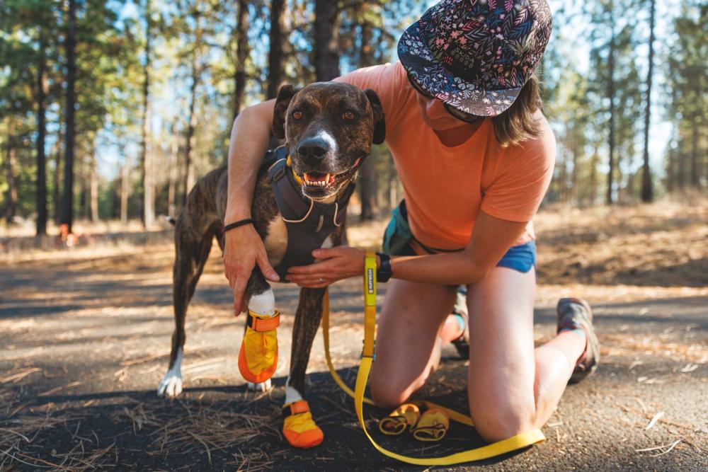 Botas zapatos para perros Summit Trex™ Amarillo Sunrise de Ruffwear. ejemplo 3