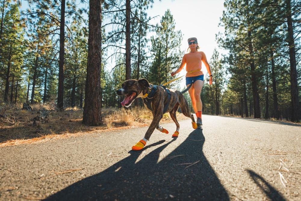 Botas zapatos para perros Summit Trex™ Amarillo Sunrise de Ruffwear. ejemplo 4