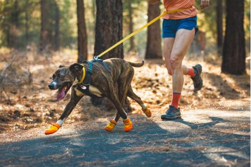 Botas zapatos para perros Summit Trex™ Amarillo Sunrise de Ruffwear. ejemplo 5