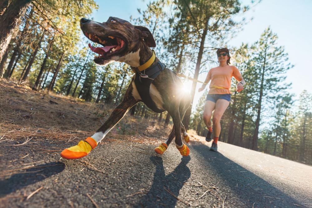 Botas zapatos para perros Summit Trex™ Amarillo Sunrise de Ruffwear. ejemplo 6