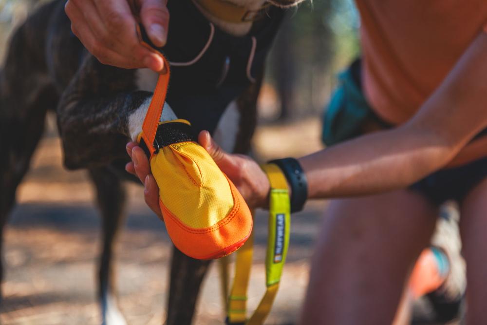Botas zapatos para perros Summit Trex™ Amarillo Sunrise de Ruffwear. ejemplo 2