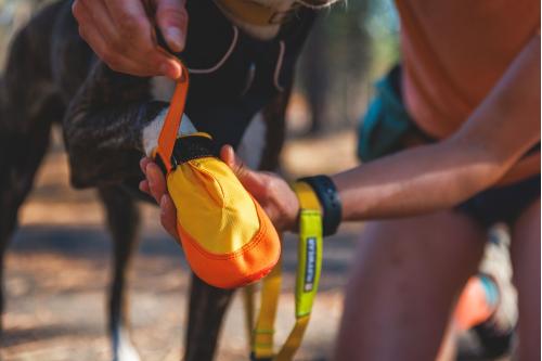 Botas zapatos para perros Summit Trex™ Amarillo Sunrise de Ruffwear. ejemplo 2