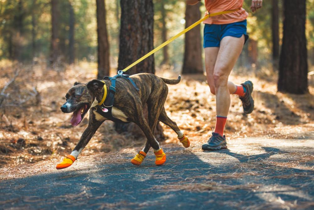 Botas zapatos para perros Summit Trex™ Amarillo Sunrise de Ruffwear. ejemplo 5