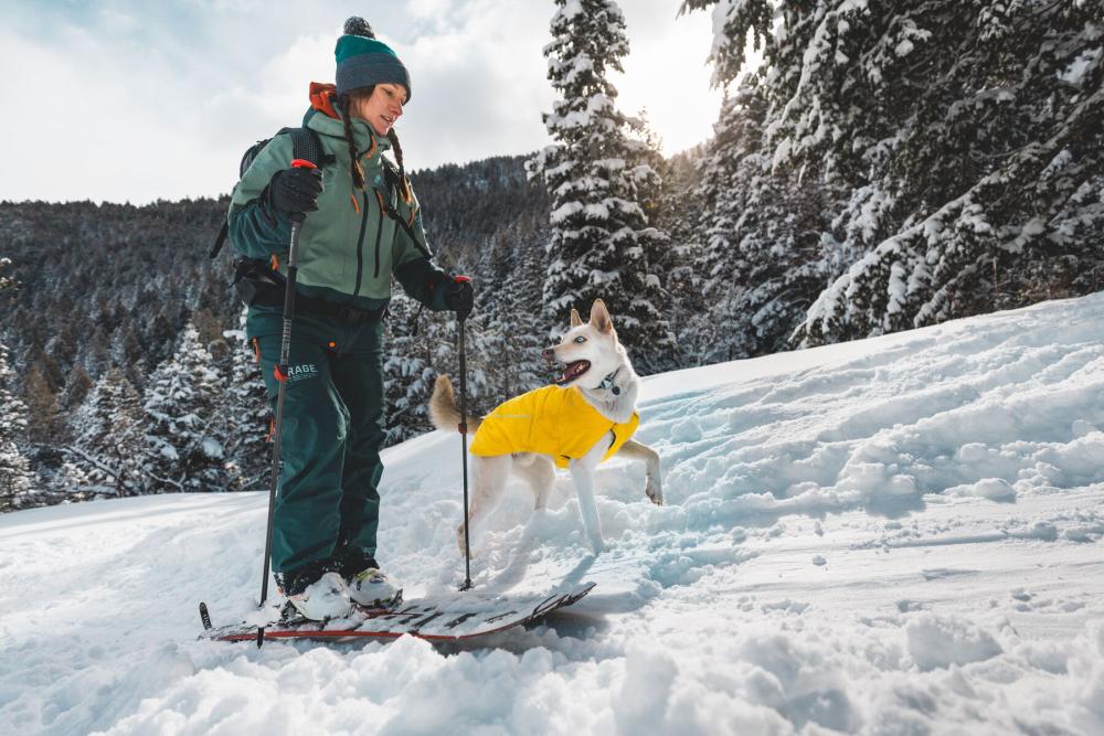 Collar para perros Knot-a-Collar™ Ruffwear inspirado en el material de alpinismo. Imagen ejemplo b1