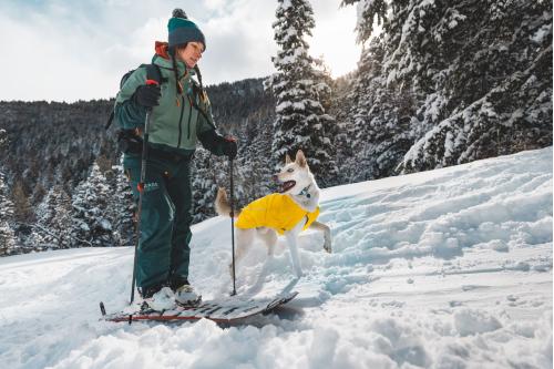 Collar para perros Knot-a-Collar™ Ruffwear inspirado en el material de alpinismo. Imagen ejemplo b1