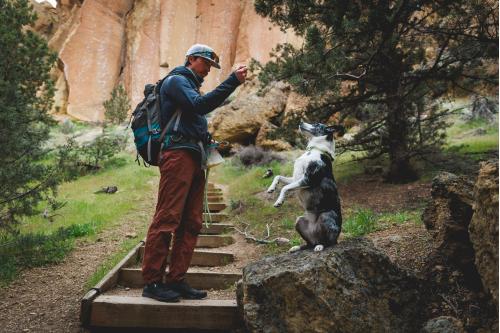 Collar para perros Knot-a-Collar™ Ruffwear inspirado en el material de alpinismo. Imagen ejemplo b2