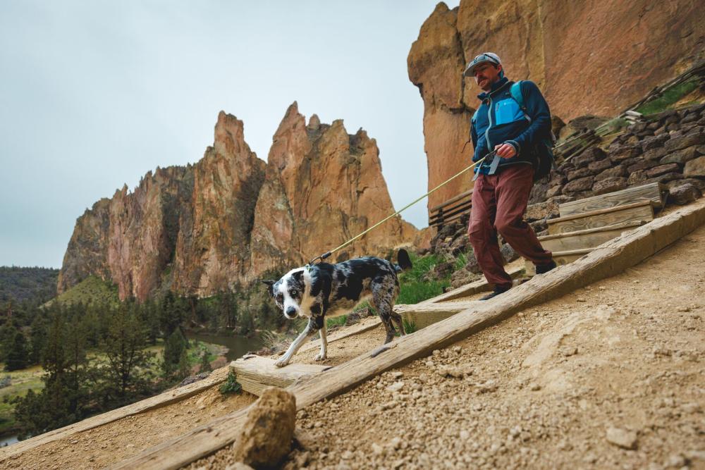 Collar para perros Knot-a-Collar™ Ruffwear inspirado en el material de alpinismo. Imagen ejemplo b4