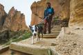 Collar para perros Knot-a-Collar™ Ruffwear inspirado en el material de alpinismo. Imagen ejemplo b5