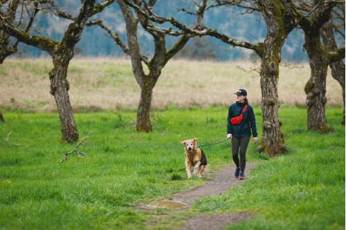 correa para perros Knot-a-Leash™ Ruffwear, resistente cuerda y mosquetón de seguridad , ejemplo 3
