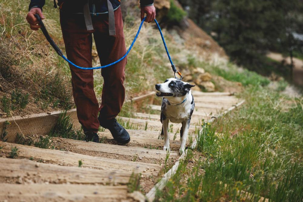 correa para perros Knot-a-Leash™ Ruffwear, resistente cuerda y mosquetón de seguridad , ejemplo 4