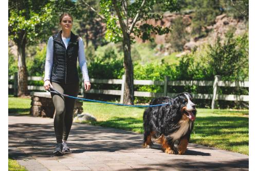 Correa con collar estrangular Just-a-Cinch™ Ruffwear mayor seguridad perro adiestramiento a perros que tiran mucho, ejemplo 1