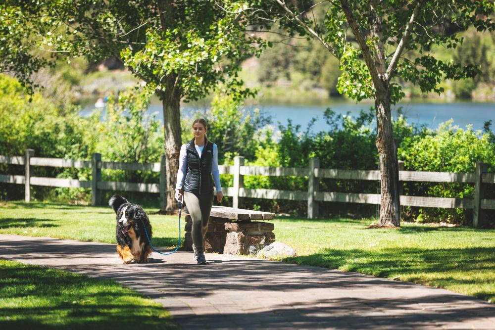 Correa con collar estrangular Just-a-Cinch™ Ruffwear mayor seguridad perro adiestramiento a perros que tiran mucho, ejemplo 2